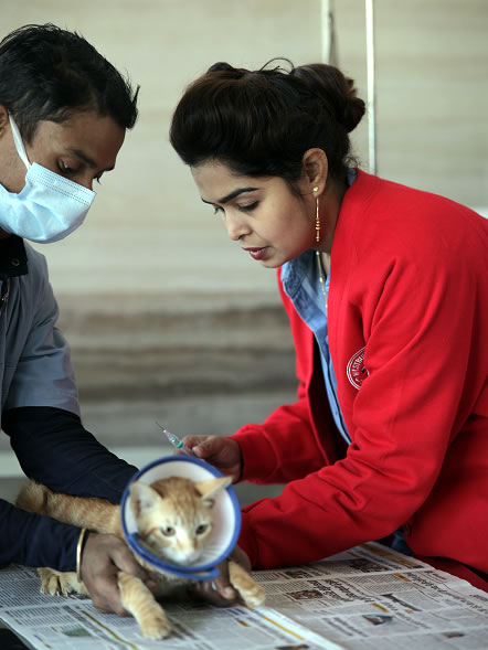 Dr. Garima, Pet Chikitsa