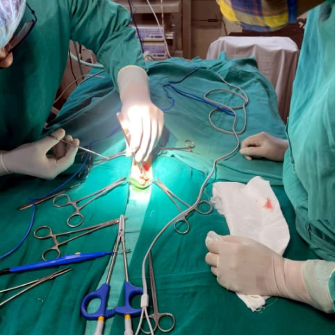 Surgical procedures for pets at Pet Chikitsa, Gurugram