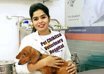 Dr. Garima, Pet Chikitsa